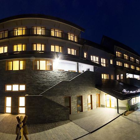 Pensiunea Art 1000 Lunca Visagului Exterior foto